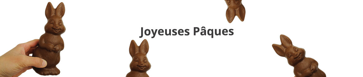 paques lapin chocolat sans sucre